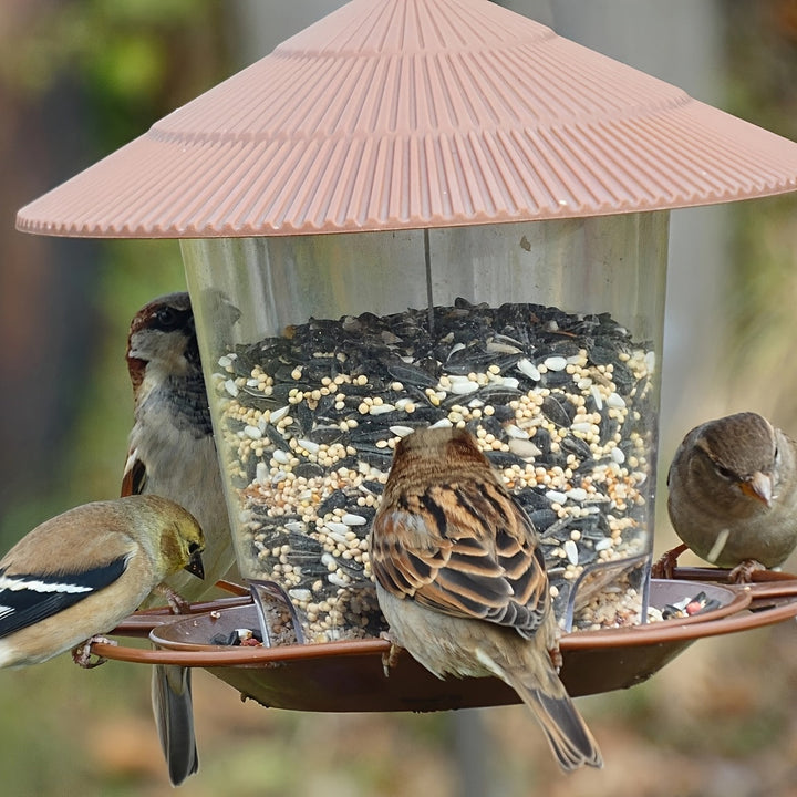 Mushroom-Shaped Bird Feeder – Practical and Decorative for Gardens and Outdoor Spaces