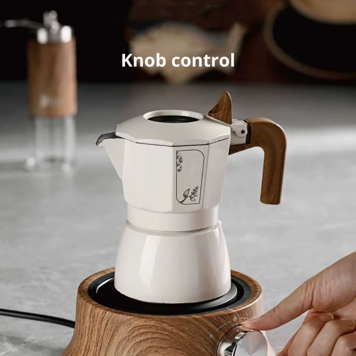Compact Mini Hot Plate with Temperature Control