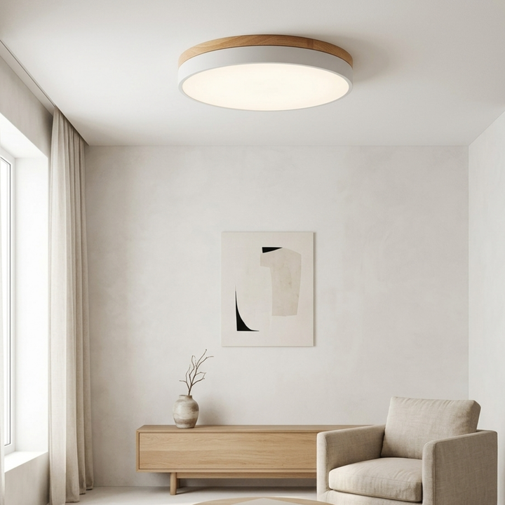 Round Disc Ceiling Light – Flat, Flush-Mounted Light