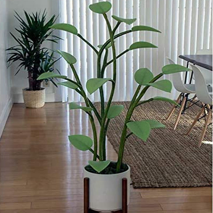 Indoor LED Plant | Programmable Ambient Light