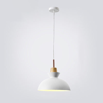 AuroraLite Nordic Chandelier | Metal Design | 1-Light | Modern Colour Options