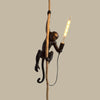 Modern Single-Flame Resin Ceiling Lamp, Restaurant Pendant Light with Hemp Rope