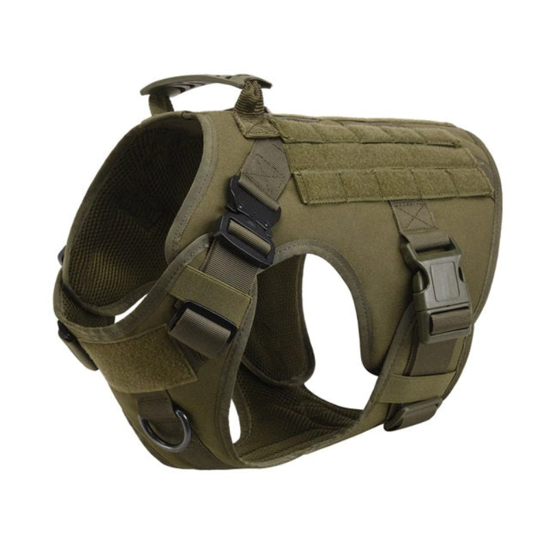 No-Pull Dog Harness – Rexon