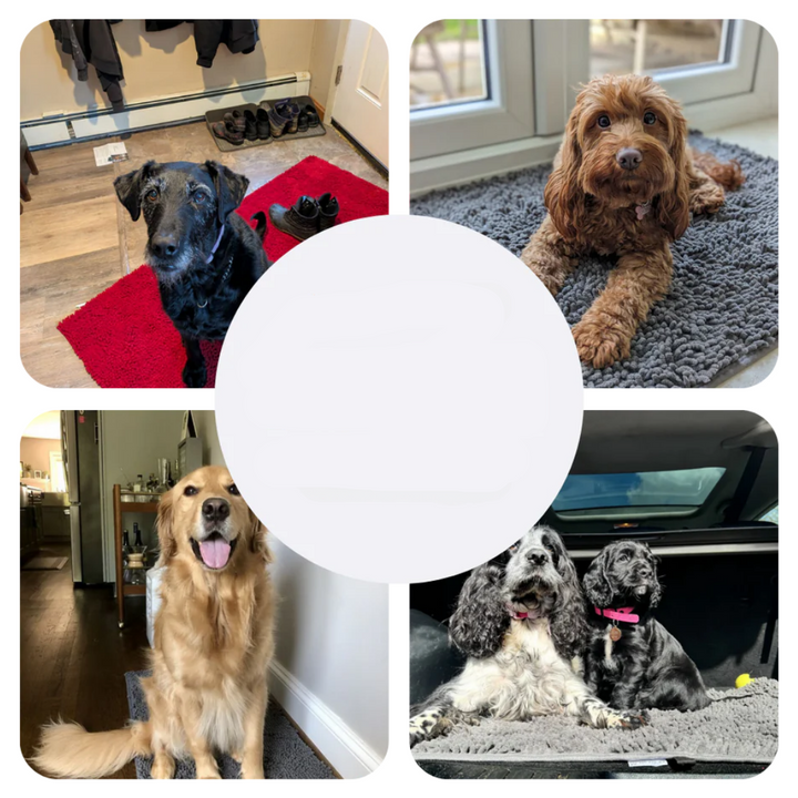 Super Absorbent Dog Mat – PawMat