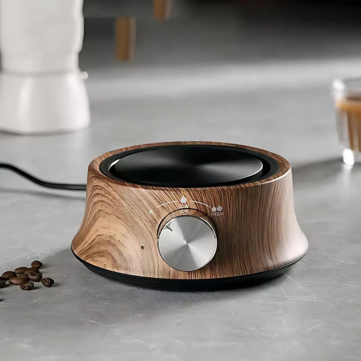 Compact Mini Hot Plate with Temperature Control
