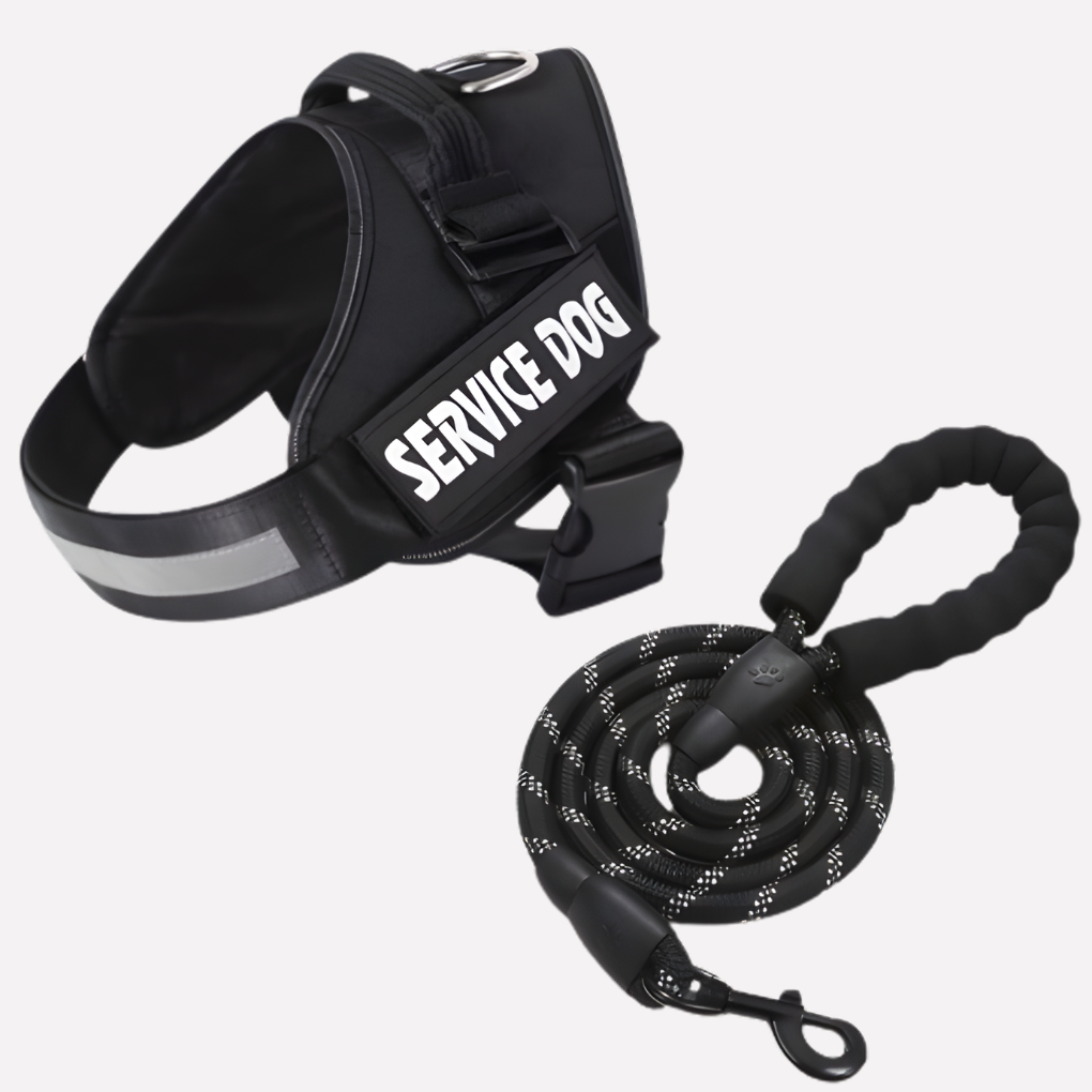 Personalized Anti-Pull Dog Harness
