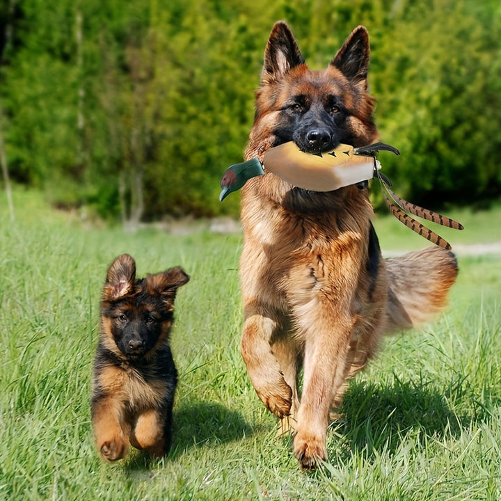 Mallard Retriever – Durable Plastic Duck-Shaped Training Toy