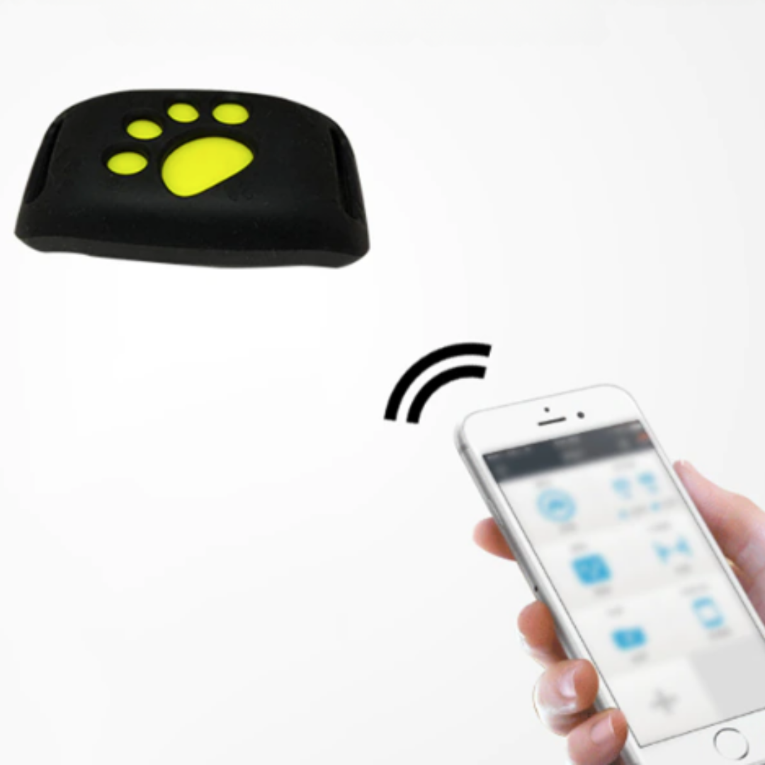 PetSafe GPS Pet Collar - Real-Time Tracking, Waterproof and Subscription-Free