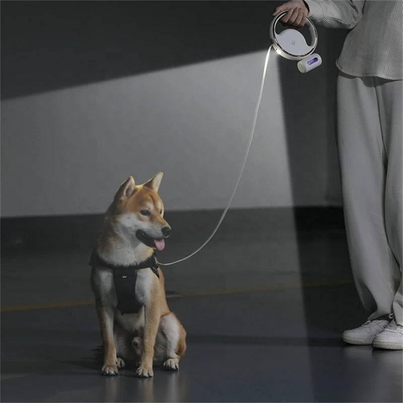Automatic Dog Lead with LED – Ergonomic Handle and Safety Light