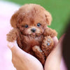 Realistic Interactive Robot Puppy