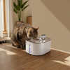 Stream Drinking Fountain Wireless
