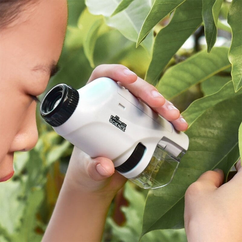 Compact Autumn Microscope for Kids - MicroExplorer