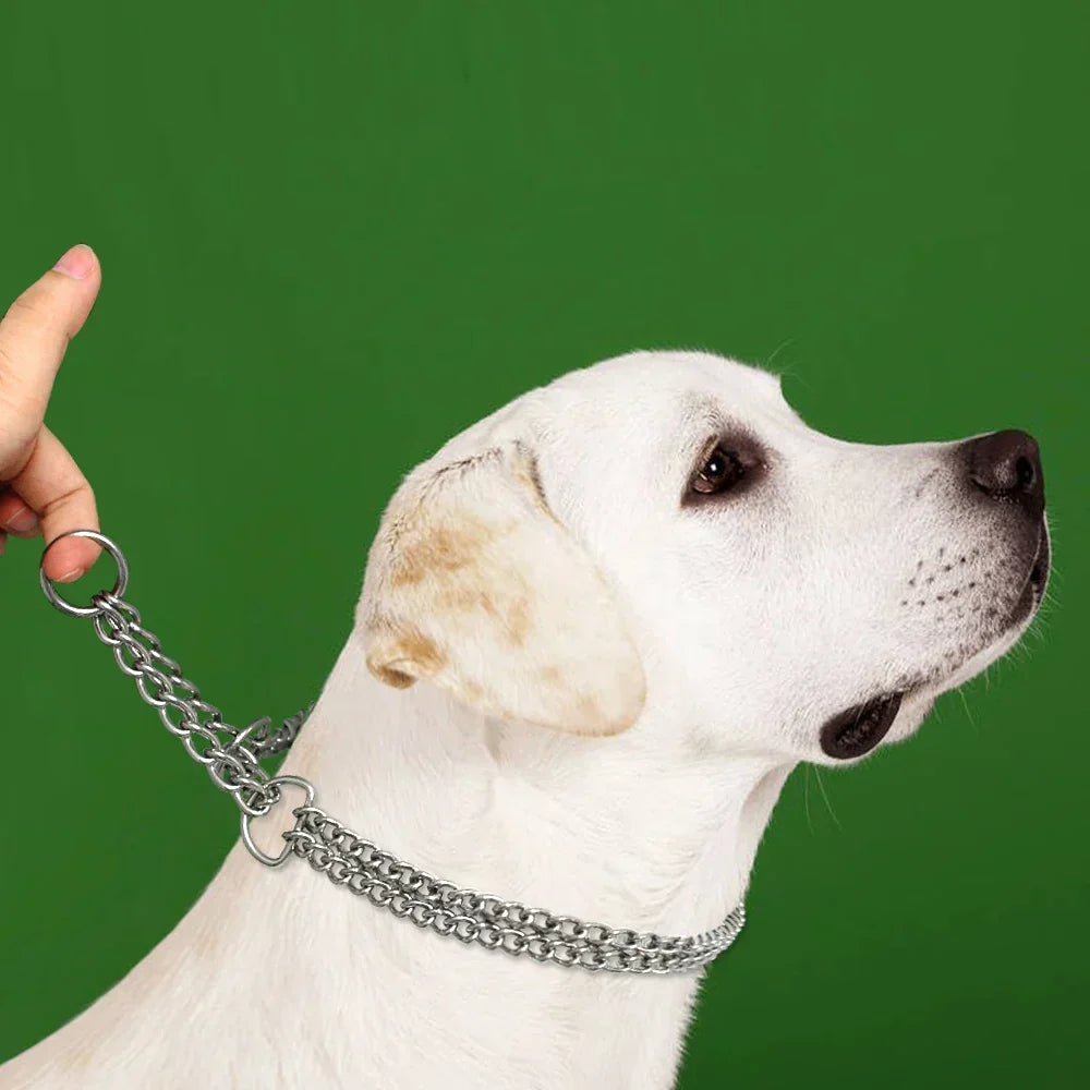 Sandsberg Stainless Steel Dog Training Collar