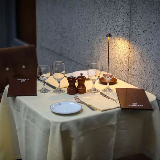 Cordless LED Lamp | Battery-Powered, Dimmable Touch Lamp