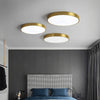 Round LED Ceiling Lamp with Metal Frame