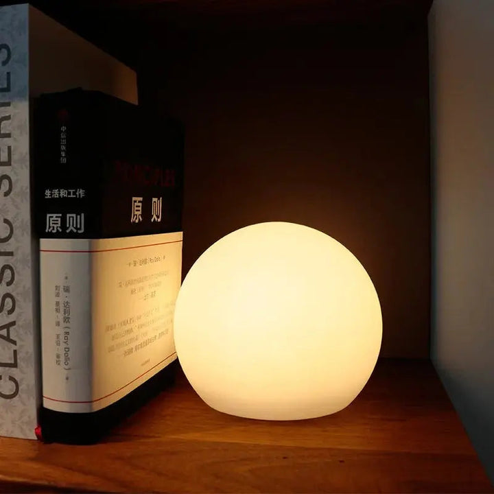 Rechargeable LED Globe Lamp with 16 Colours and Remote Control