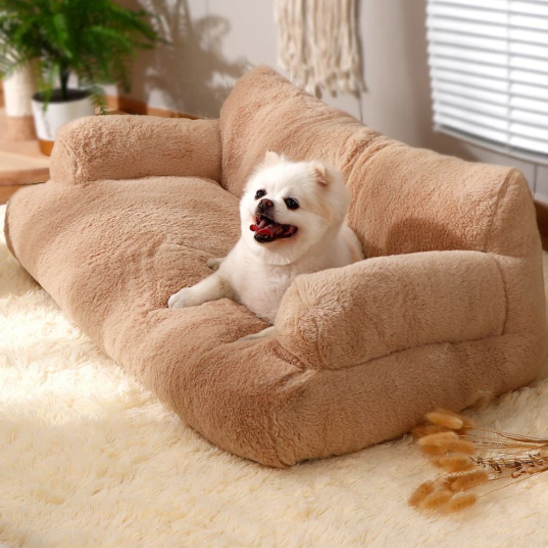 Calming Sofa for Pets