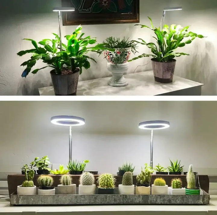 Full-Spectrum LED Plant Light with Timer and Dimming Function