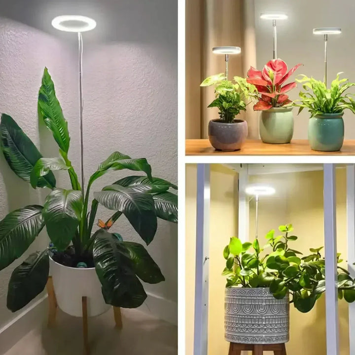 Full-Spectrum LED Plant Light with Timer and Dimming Function