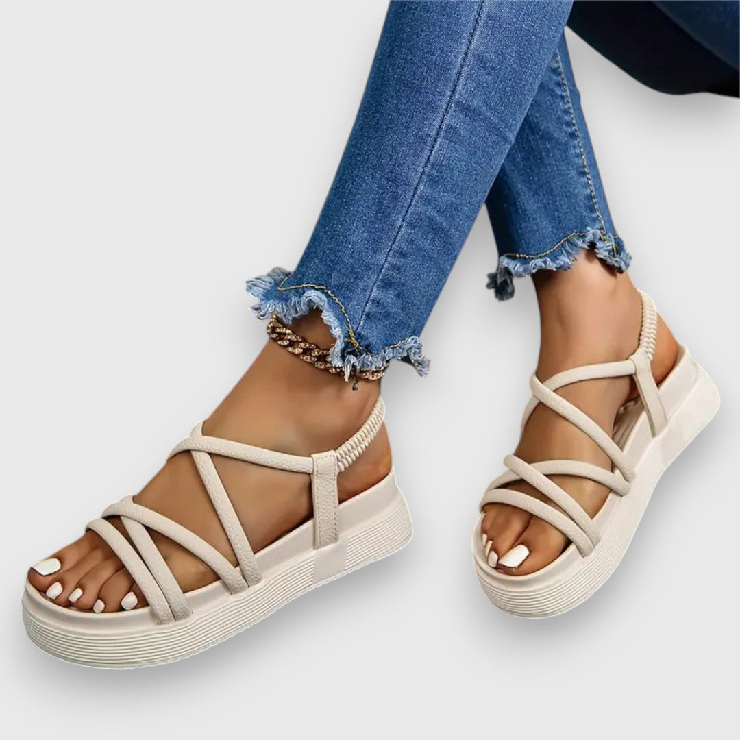 https://cdn.shopify.com/s/files/1/0952/6175/3687/files/a8c46d84-1607-4e9a-a37a-1cdcb64dc133_1080x-Photoroom.jpg?v=1760372822