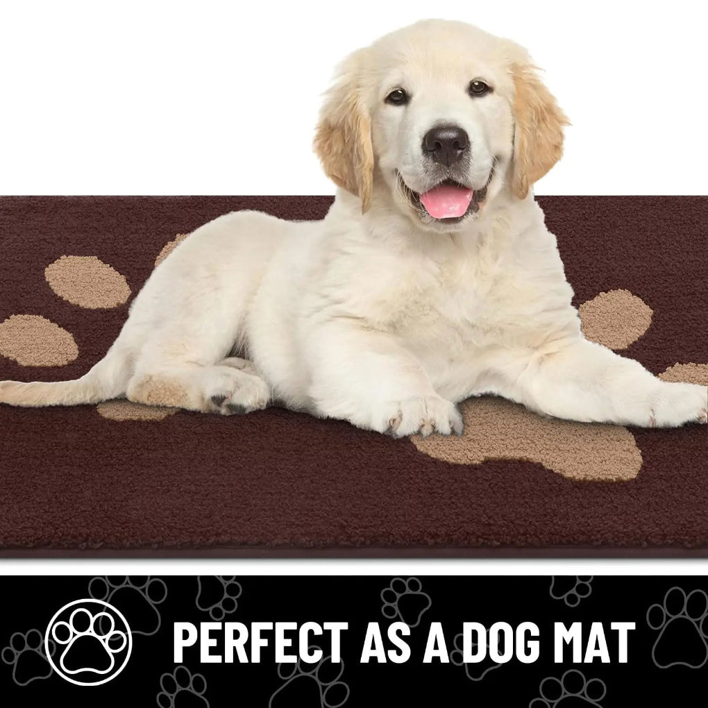 https://cdn.shopify.com/s/files/1/0755/5720/8300/files/absorbent-dog-door-mat-with-non-slip-backing-quick-drying-chenille-texture-ideal-for-trapping-pet-pa-7.jpg?v=1764369333