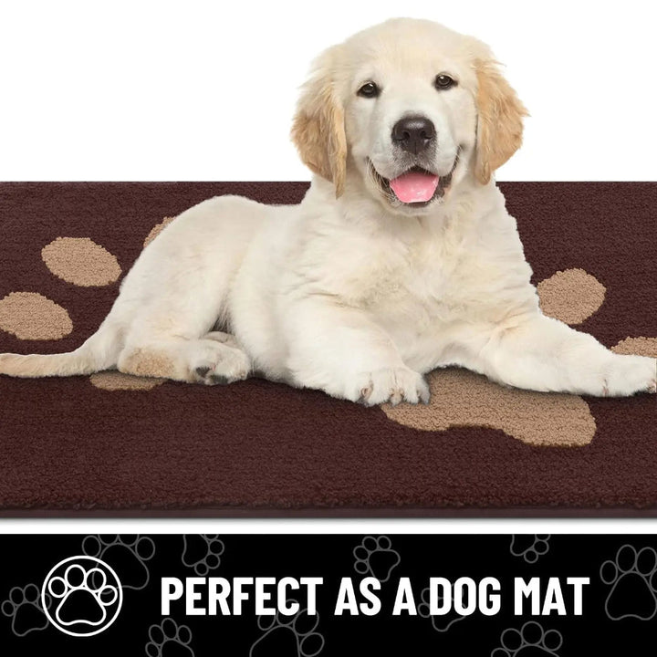 https://cdn.shopify.com/s/files/1/0755/5720/8300/files/absorbent-dog-door-mat-with-non-slip-backing-quick-drying-chenille-texture-ideal-for-trapping-pet-pa-7.jpg?v=1764369333