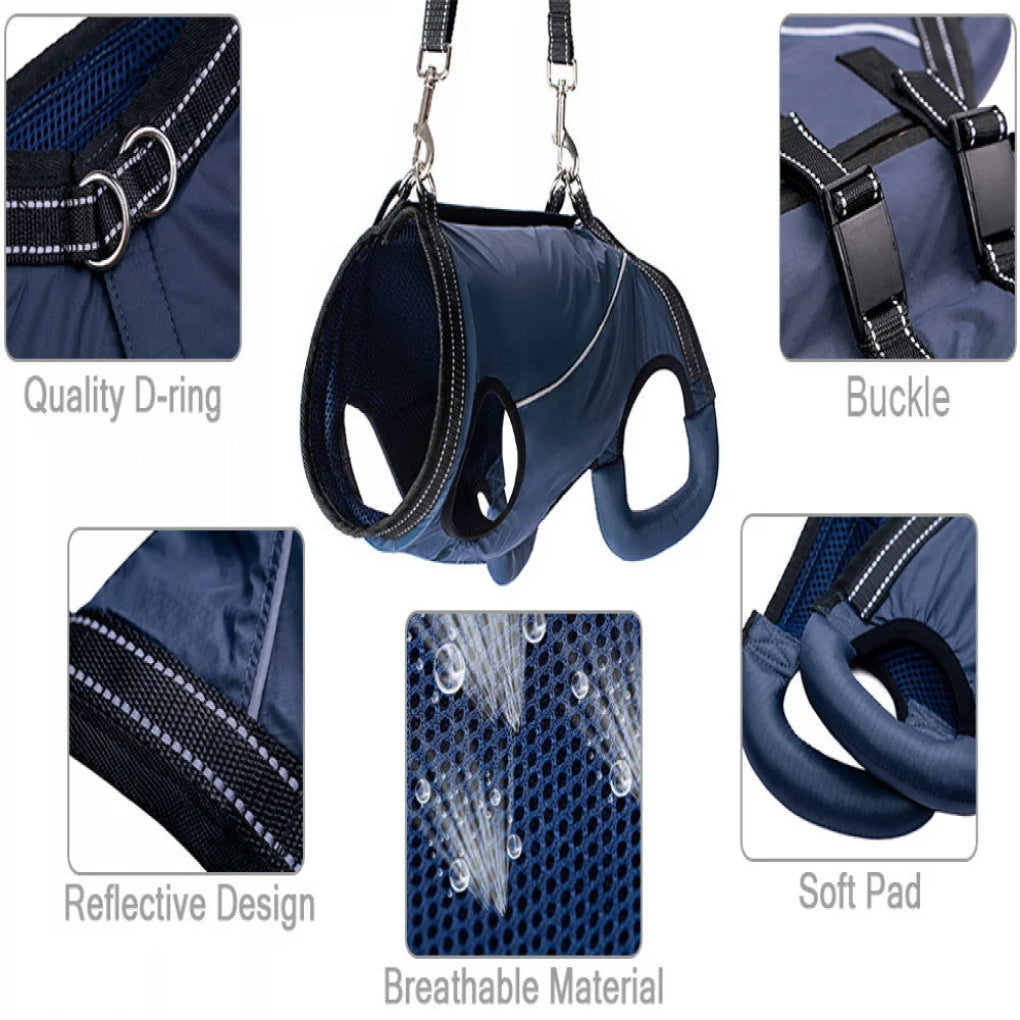https://cdn.shopify.com/s/files/1/0755/5720/8300/files/adjustable-dog-lift-harness-for-senior-pets-full-body-support-sling-ergonomic-design-padded-and-brea-14.jpg?v=1764369369