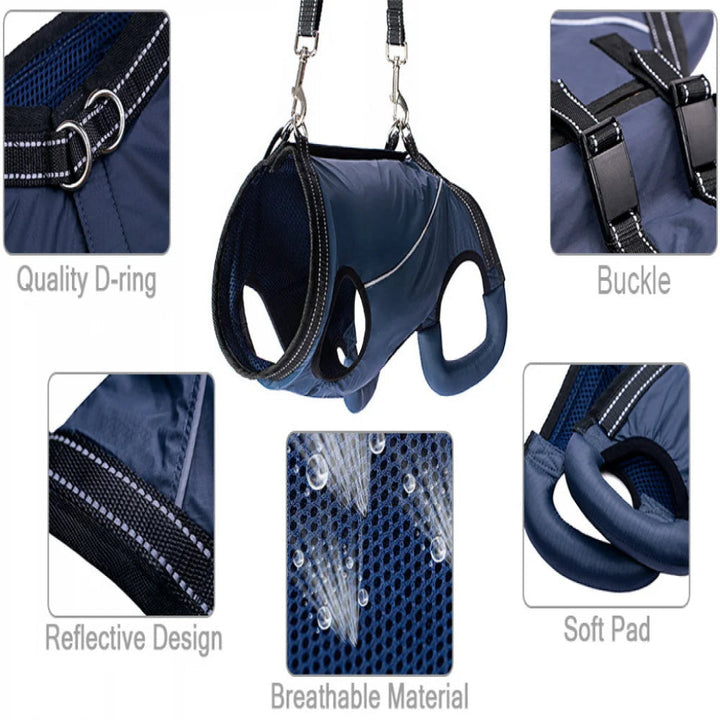 https://cdn.shopify.com/s/files/1/0755/5720/8300/files/adjustable-dog-lift-harness-for-senior-pets-full-body-support-sling-ergonomic-design-padded-and-brea-14.jpg?v=1764369369