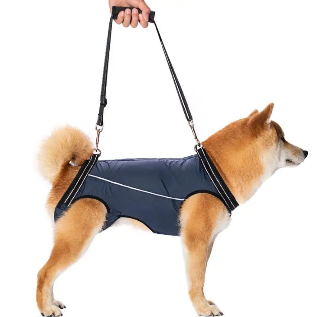 https://cdn.shopify.com/s/files/1/0755/5720/8300/files/adjustable-dog-lift-harness-for-senior-pets-full-body-support-sling-ergonomic-design-padded-and-brea-2.jpg?v=1764369369