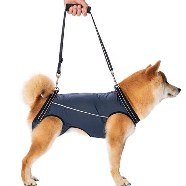 https://cdn.shopify.com/s/files/1/0755/5720/8300/files/adjustable-dog-lift-harness-for-senior-pets-full-body-support-sling-ergonomic-design-padded-and-brea-2.jpg?v=1764369369