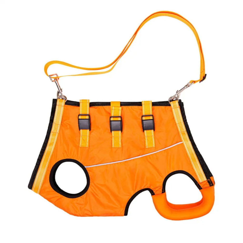 https://cdn.shopify.com/s/files/1/0755/5720/8300/files/adjustable-dog-lift-harness-for-senior-pets-full-body-support-sling-ergonomic-design-padded-and-brea-3.jpg?v=1764369369