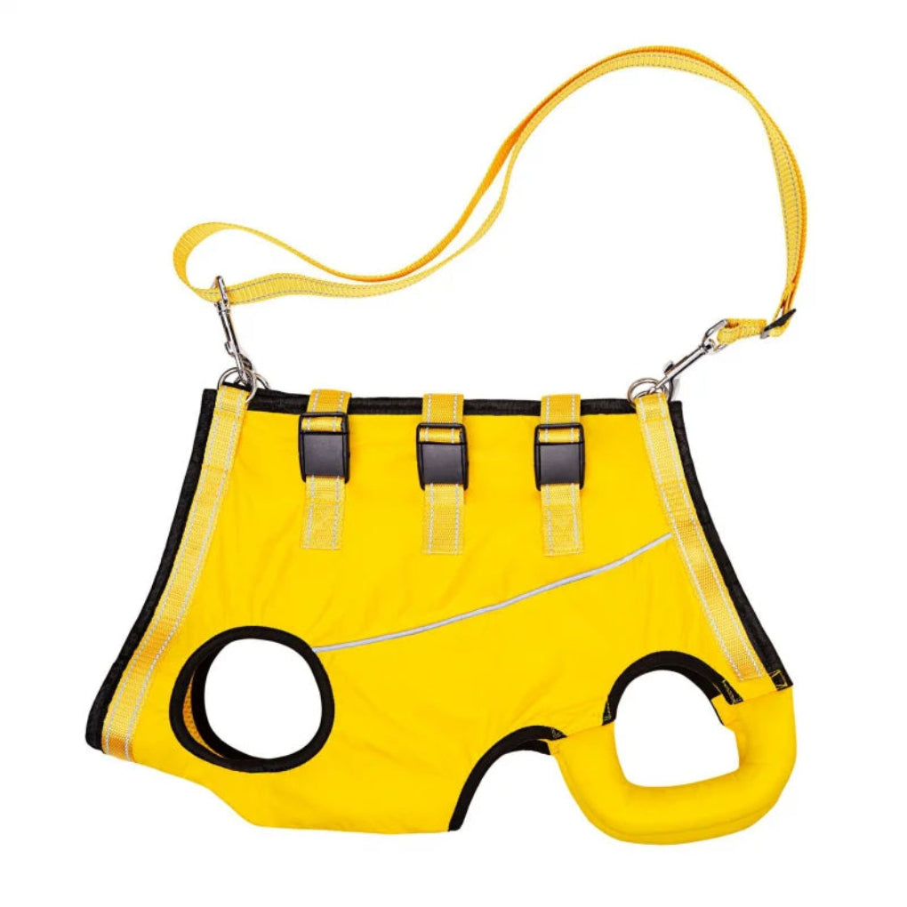 https://cdn.shopify.com/s/files/1/0755/5720/8300/files/adjustable-dog-lift-harness-for-senior-pets-full-body-support-sling-ergonomic-design-padded-and-brea-5.jpg?v=1764369369