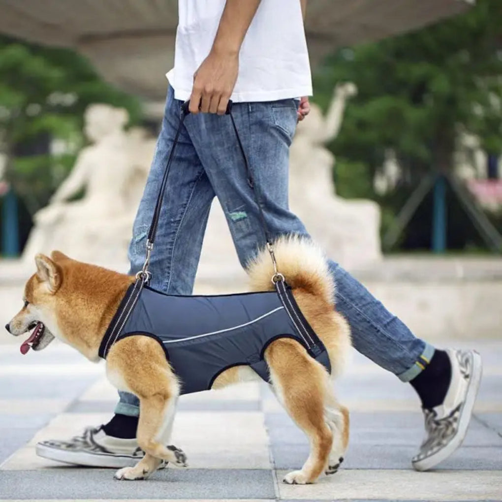 https://cdn.shopify.com/s/files/1/0755/5720/8300/files/adjustable-dog-lift-harness-for-senior-pets-full-body-support-sling-ergonomic-design-padded-and-brea-6.jpg?v=1764369369