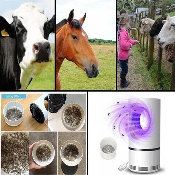 Mosquito Lamp – Safe, Effective, and Chemical-Free Insect Control