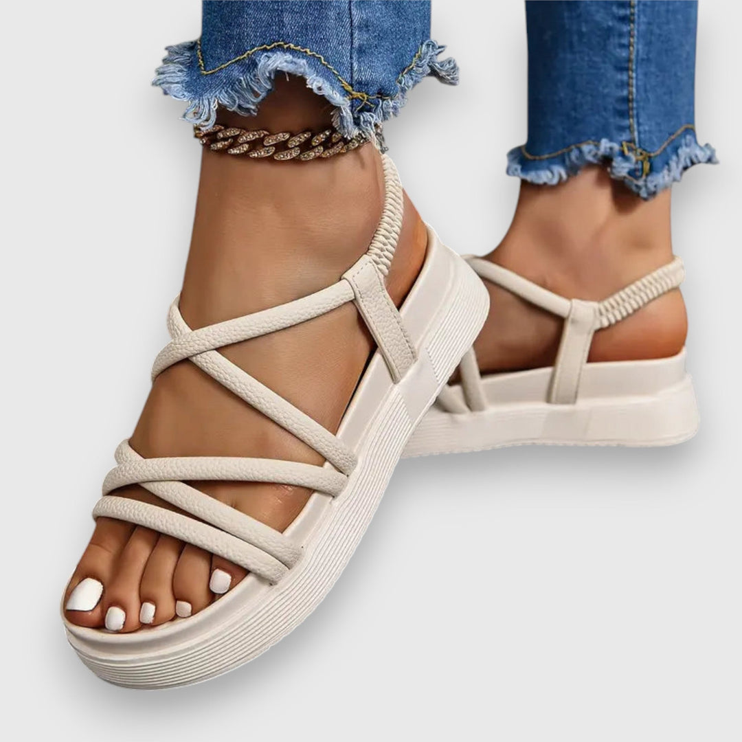 https://cdn.shopify.com/s/files/1/0952/6175/3687/files/bee09012-05e5-4240-8c52-3f53497166eb_1080x-Photoroom.jpg?v=1760372823