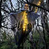 Halloween Hanging Ghost Skeleton Prop