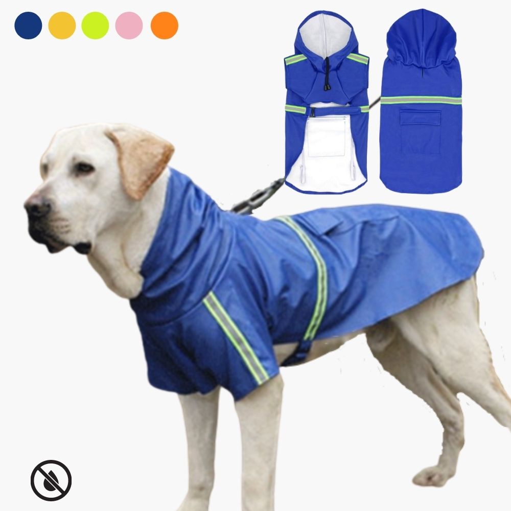 Waterproof Dog Jacket | Comfortable and Durable