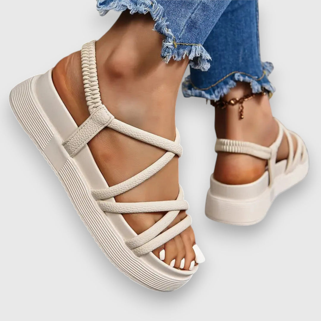 https://cdn.shopify.com/s/files/1/0952/6175/3687/files/d828ce73-f1ef-44da-a2fd-cf6d2a0bae6a_1024x1024-Photoroom.jpg?v=1760372823