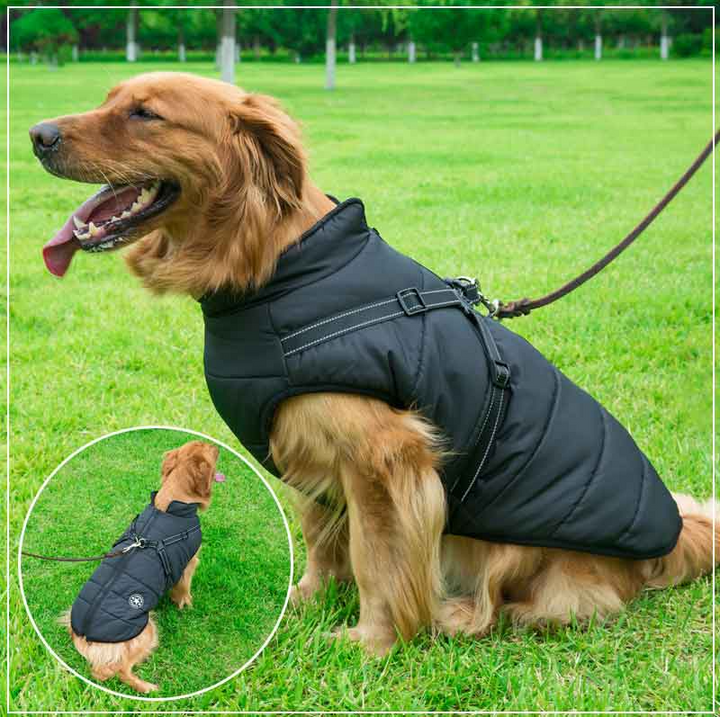 PupGuard - Winter Dog Coat with Harness
