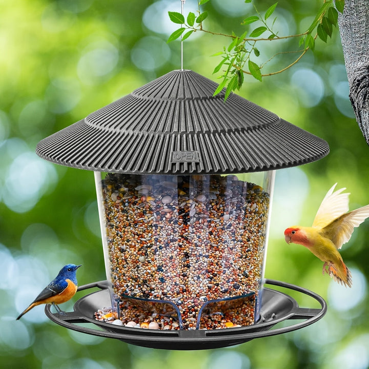 Mushroom-Shaped Bird Feeder – Practical and Decorative for Gardens and Outdoor Spaces