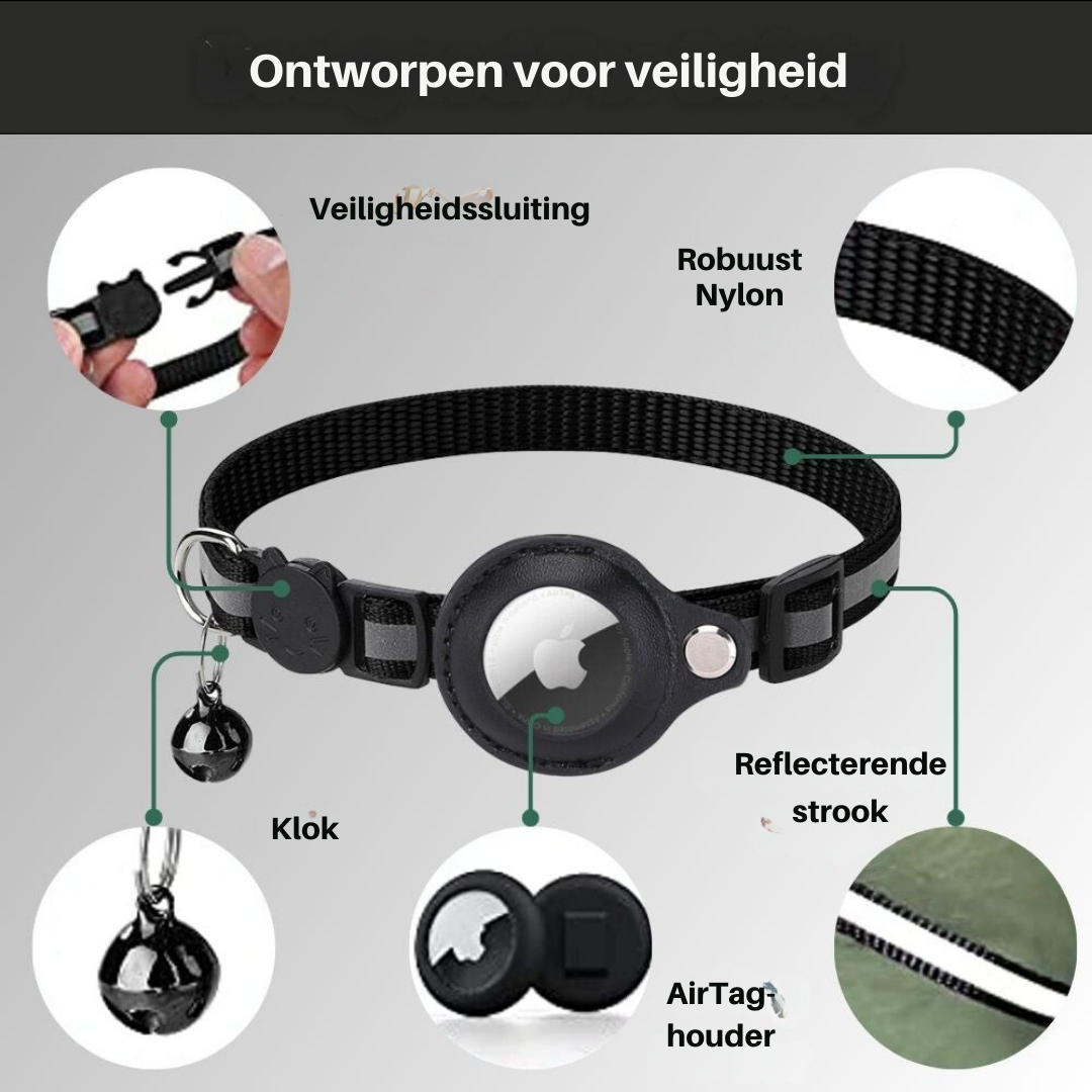 Cat Collar with Safety Buckle - Milo