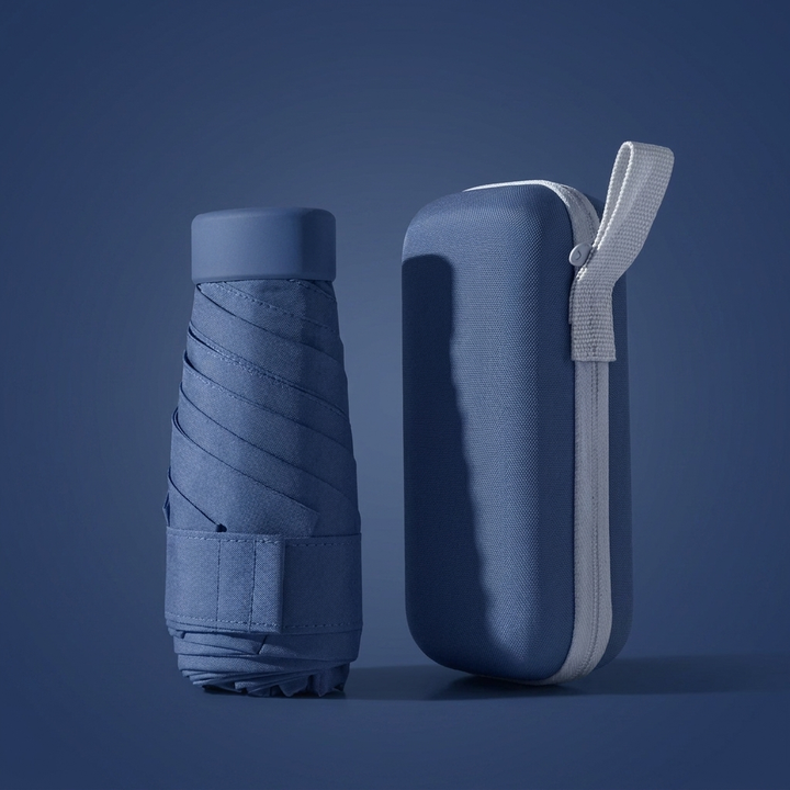 Compact Travel Umbrella And Case