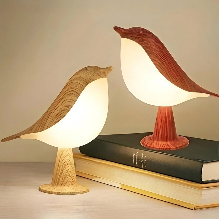 Portable Lamp with Diffuser