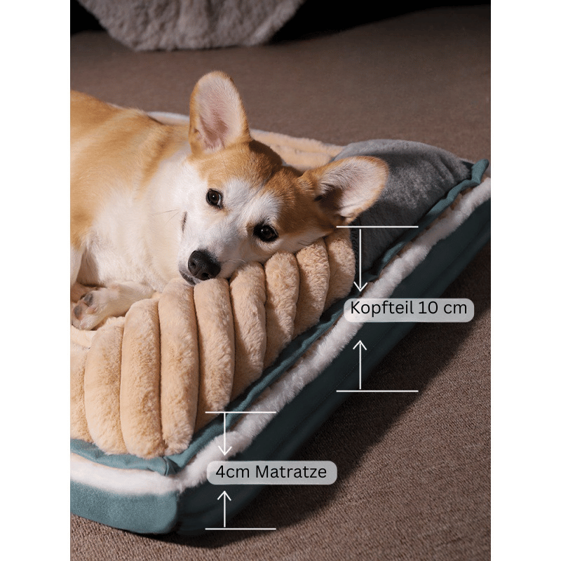 Comfortable Dog Mattress - DreamCloud