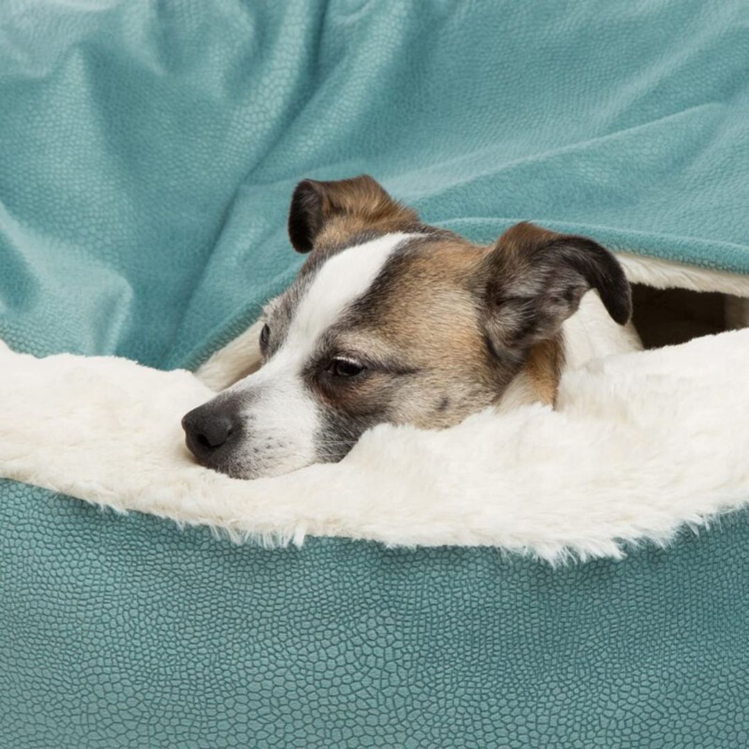 Winterhöhle für Hunde - SnuggleNest Winter