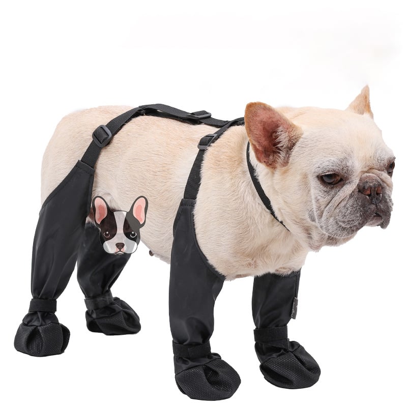 Safe Outdoor Adventure Boots – PawShield