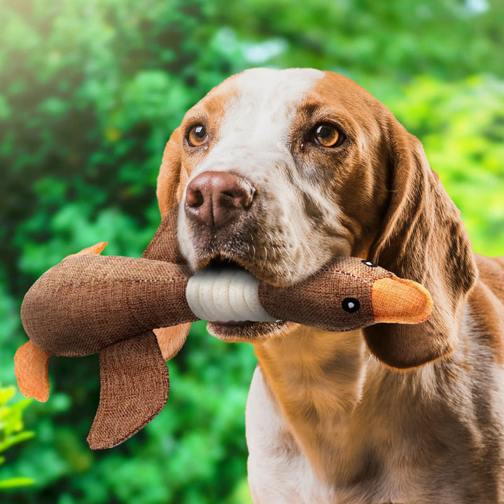 Indestructible Dog Toy (Buy 1 Get 1 Free) - ToughGoose