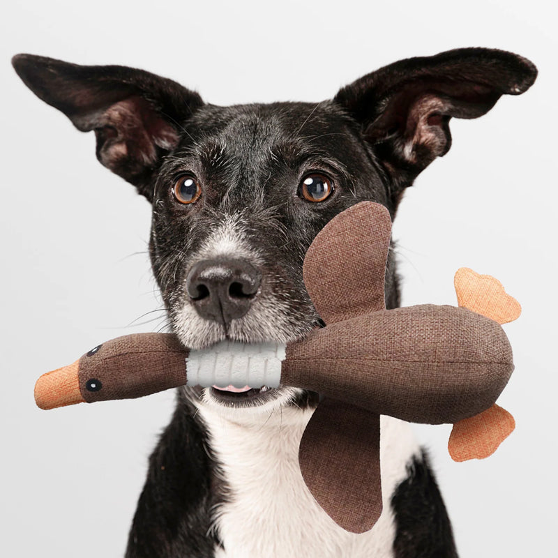 Indestructible Dog Toy (Buy 1 Get 1 Free) - ToughGoose
