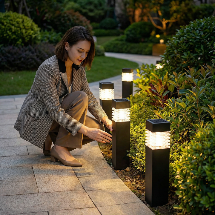 Solar LED garden stake lights for paths