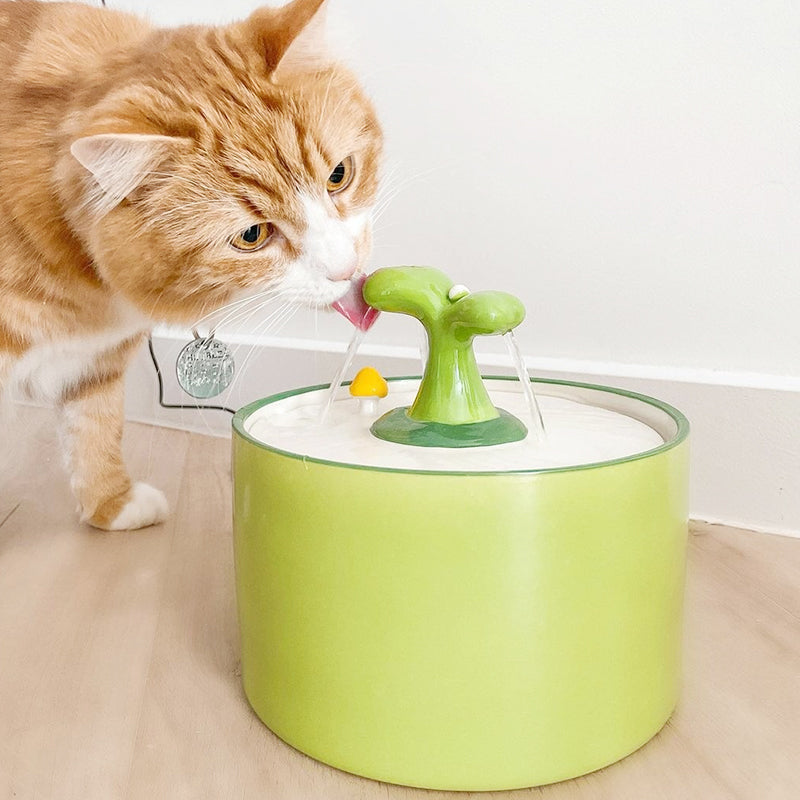 Cat Fountain – SpringFlow